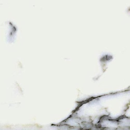 bianco statuario