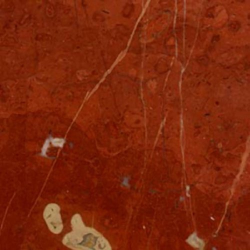 rojo coralito
